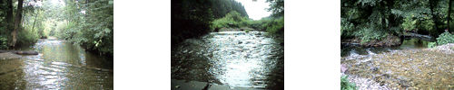 Cista River